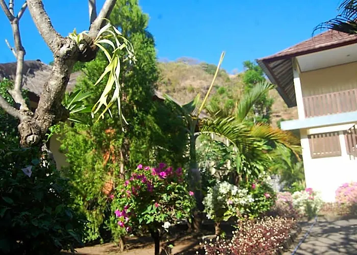 Star East Amed BALI